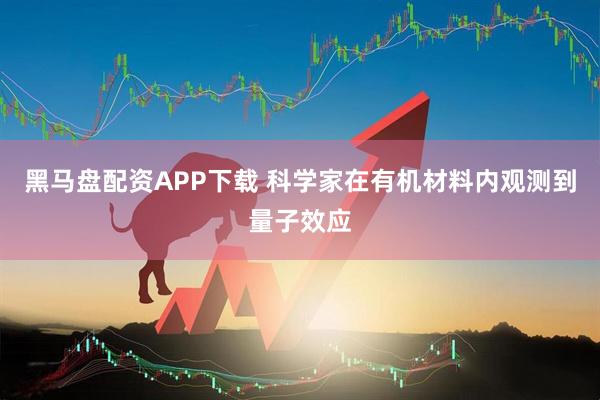 黑马盘配资APP下载 科学家在有机材料内观测到量子效应