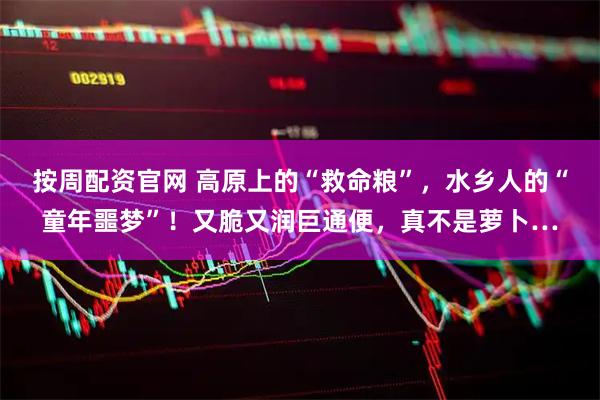 按周配资官网 高原上的“救命粮”,水乡人的“童年噩梦”!又脆又润巨通便,真不是萝卜…