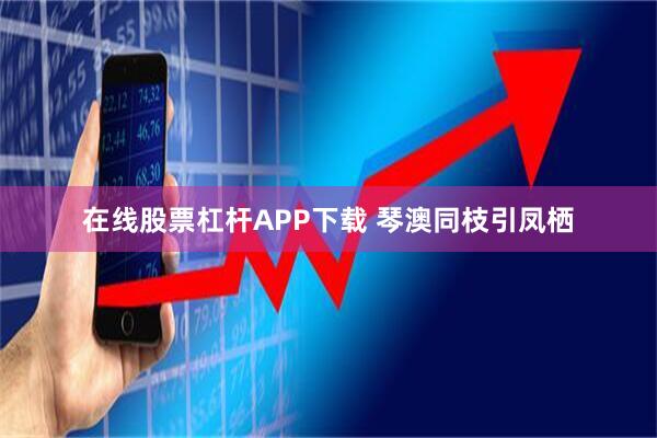 在线股票杠杆APP下载 琴澳同枝引凤栖